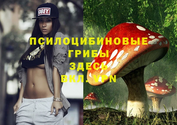 тгк Покровск